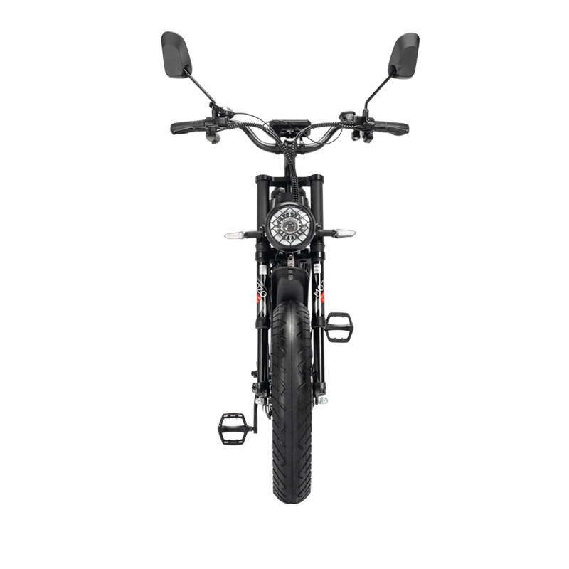 Ridstar Q20 Pro Dual-Motor Electric Bike cockpit and display