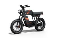 Riding'times GT33 Cargo Electric Bike official Riding'times product image 16