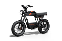 Riding'times GT33 Cargo Electric Bike official Riding'times product image 11