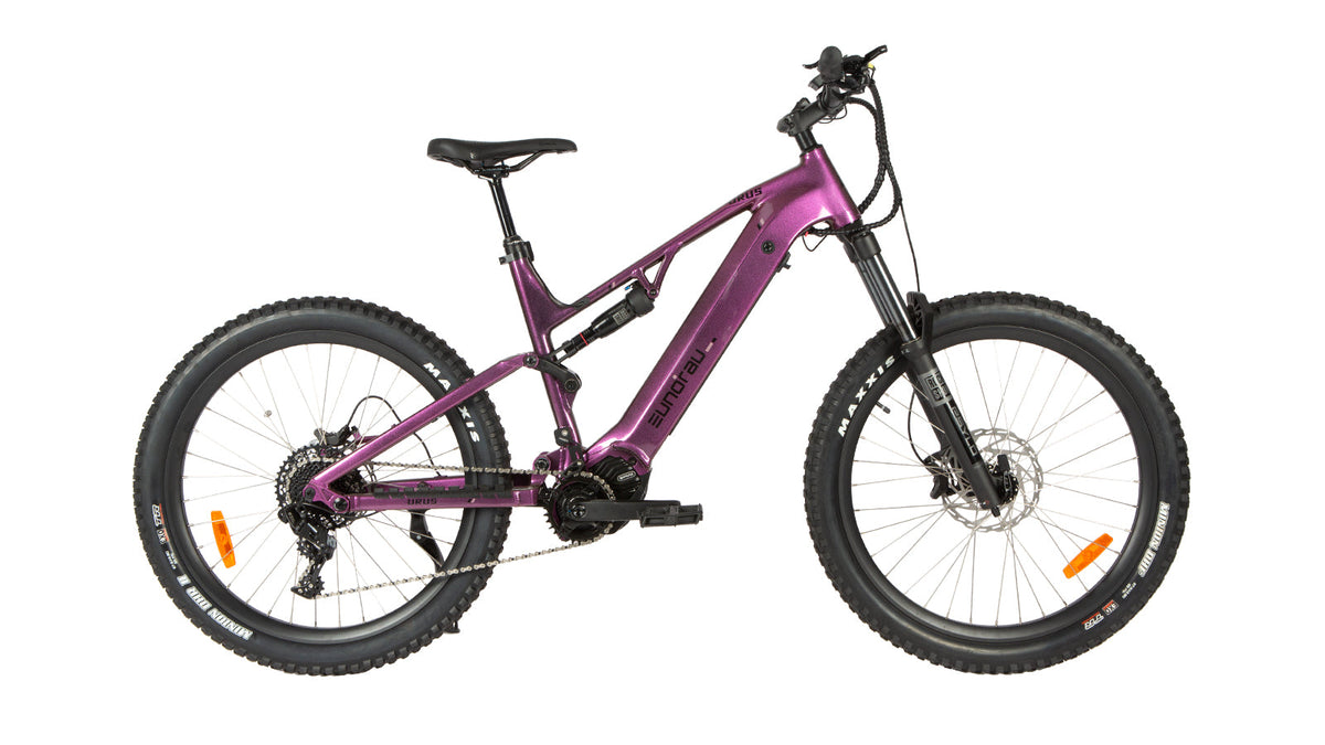 Amethyst EUNORAU URUS 2.0 full-suspension electric mountain bike, drive-side profile