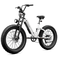 Glacier white Roma step-through e-bike in a front three-quarter view