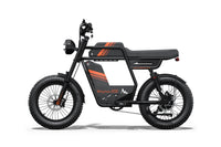 Riding'times GT33 Cargo Electric Bike official Riding'times product image 18