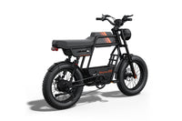 Riding'times GT33 Cargo Electric Bike official Riding'times product image 8