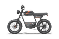 Riding'times GT33 Cargo Electric Bike official Riding'times product image 9