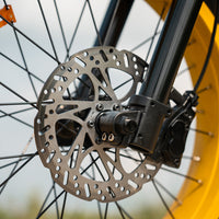 Rear lifestyle three-quarter of the black HappyRun G100 Pro Tank parked on packed dirt, showing the rear rack, taillight, and dual rear shocks