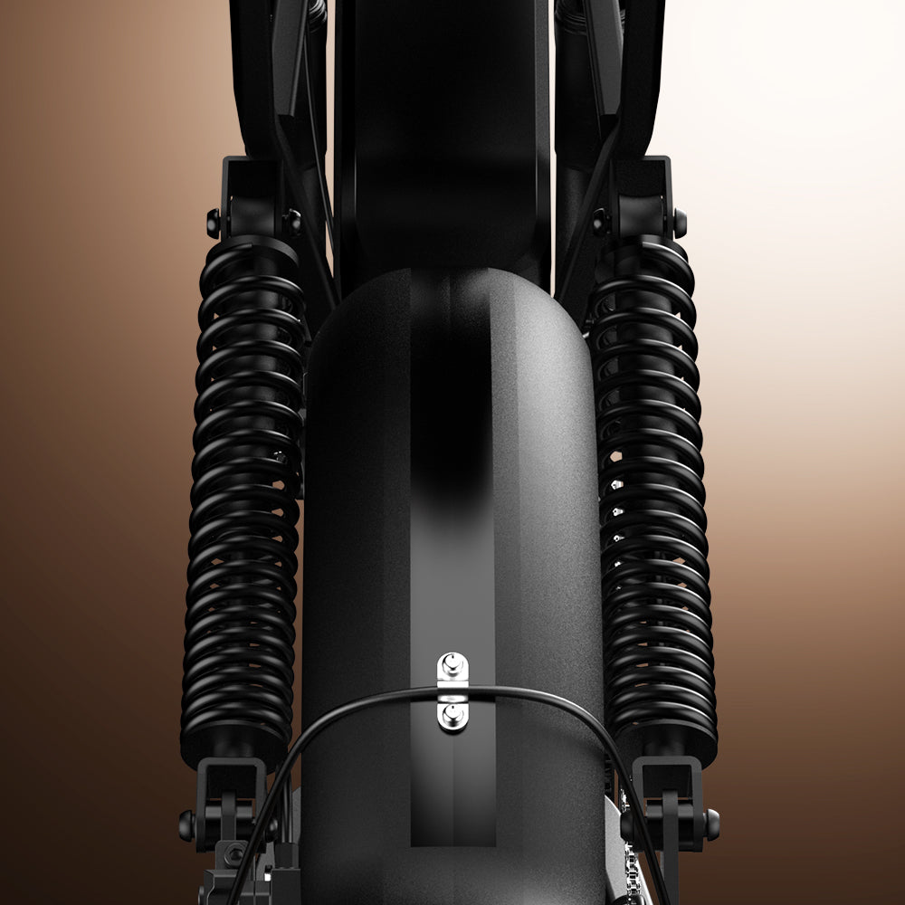 Front fender and twin suspension springs viewed from above