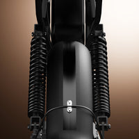 Front fender and twin suspension springs viewed from above