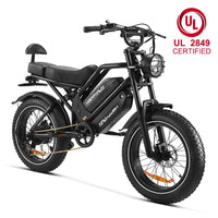 HappyRun G70 UL 2849 Certified Dual-Battery Cargo Electric Bike, official HappyRun product image 3