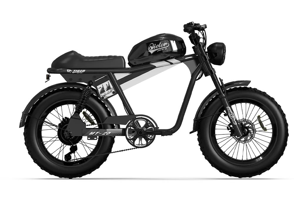 QIOLOR Tiger RE retro electric bike cockpit and display detail