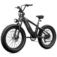 Carbon black Roma step-over e-bike in a front three-quarter product view
