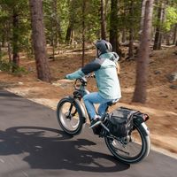 Rear view of a rider taking the Nomad Pro through a wooded path with fat tires on packed dirt.