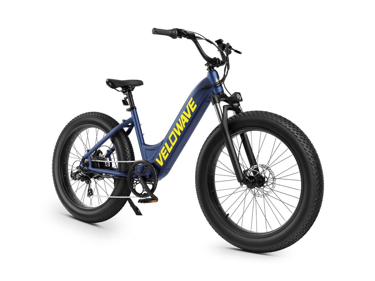 Velowave Rover Step-Thru suspension and cockpit product view