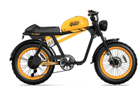 QIOLOR Tiger RE green electric bike side profile