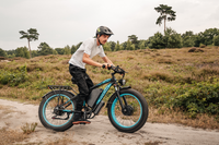 Vitilan H5 electric bike, official product image 4