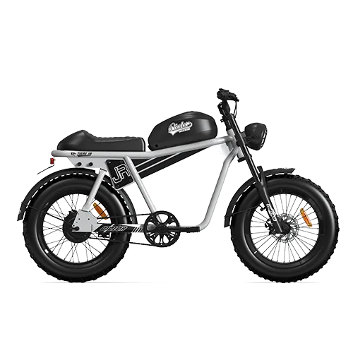 QIOLOR Tiger JR commuter electric bike front three-quarter view