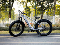Velowave Ranger 2.0 front suspension fork, light and fat tire close-up