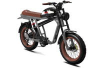 Black QIOLOR Tiger Plus three-quarter view with tank-style battery and front fork