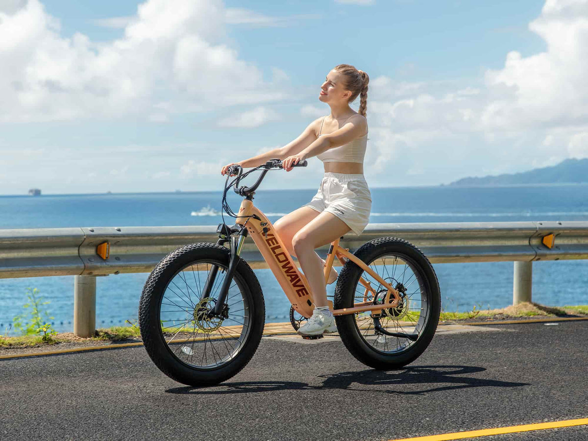 Velowave Rover Step-Thru commuter e-bike alternate product view