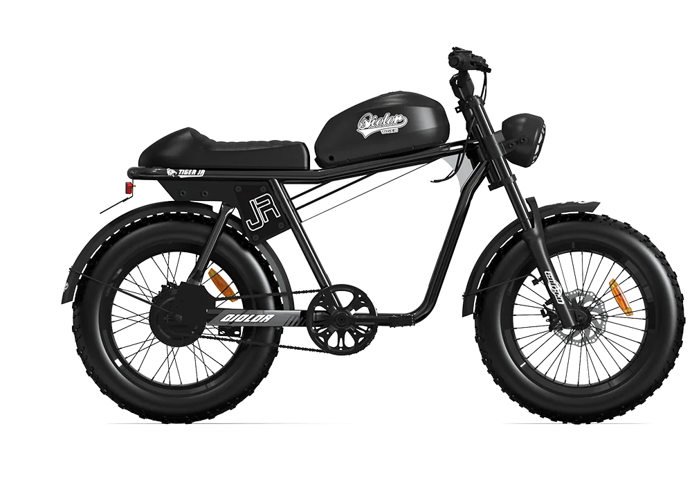 QIOLOR Tiger JR black frame and cockpit view