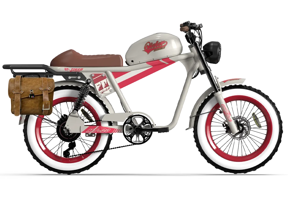 QIOLOR Tiger RE retro electric bike battery and frame detail