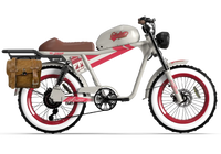 QIOLOR Tiger RE retro electric bike battery and frame detail