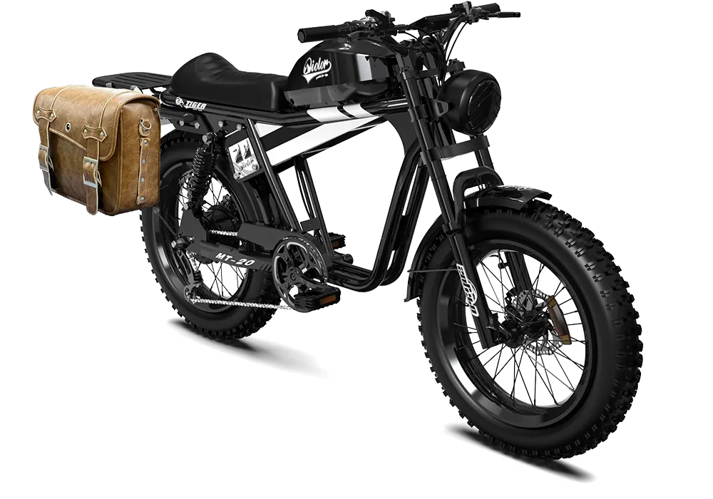QIOLOR Tiger RE retro electric bike handlebar and control detail