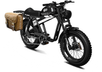 QIOLOR Tiger RE retro electric bike handlebar and control detail