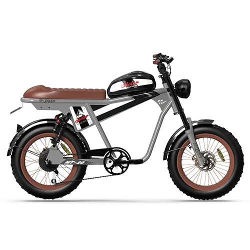 Silver QIOLOR Tiger Plus electric bike side profile with brown bench seat and fat tires