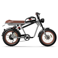 Silver QIOLOR Tiger Plus electric bike side profile with brown bench seat and fat tires