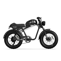 QIOLOR Tiger RE black retro electric bike front view