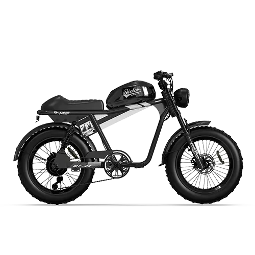 QIOLOR Tiger RE black retro electric bike front view