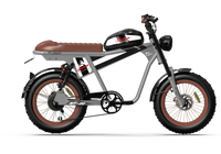 Silver QIOLOR Tiger Plus side view with brown bench seat and front suspension fork