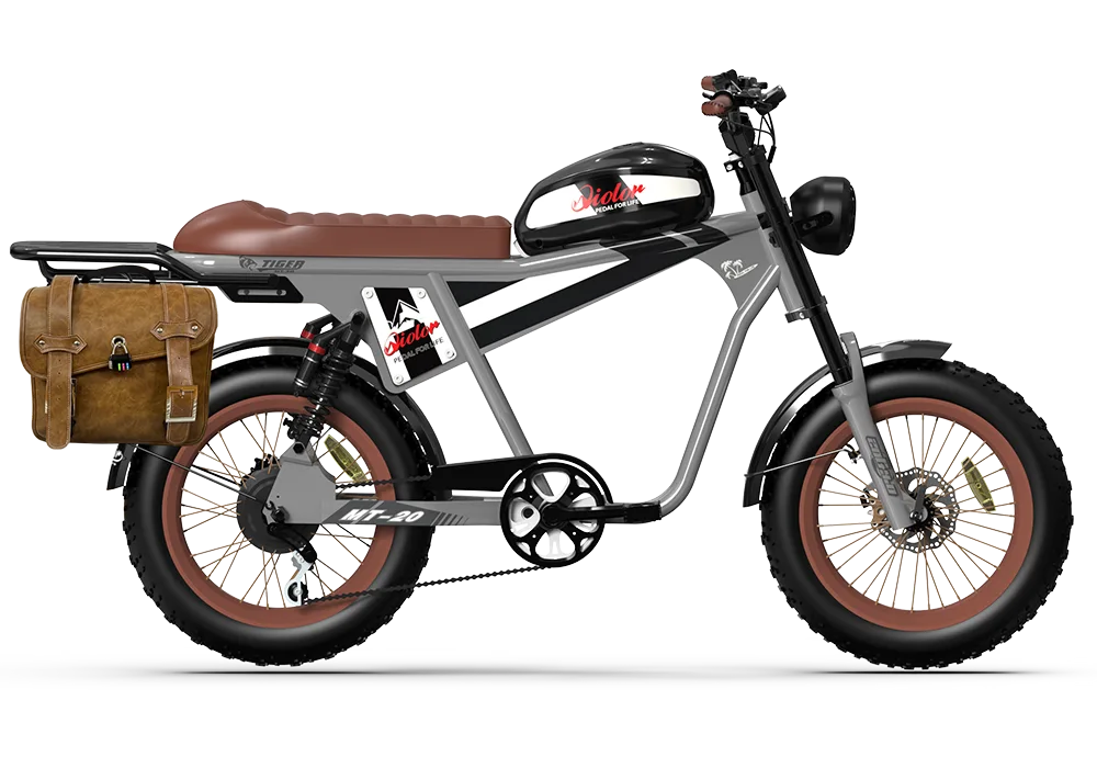Silver QIOLOR Tiger Plus side view with rear rack and brown pannier bag