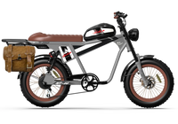 Silver QIOLOR Tiger Plus side view with rear rack and brown pannier bag