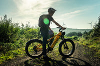Vitilan T7 Pro electric bike, official product image 7