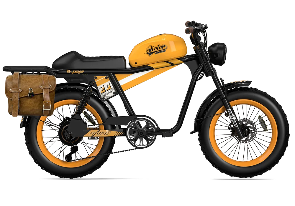 QIOLOR Tiger RE retro electric bike saddle and frame detail