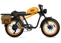 QIOLOR Tiger RE retro electric bike saddle and frame detail
