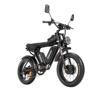 Ridstar Q20 Pro Dual-Motor Electric Bike rear suspension detail