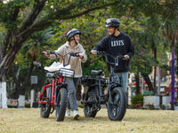 Velowave Prado S compact fat-tire e-bike product view