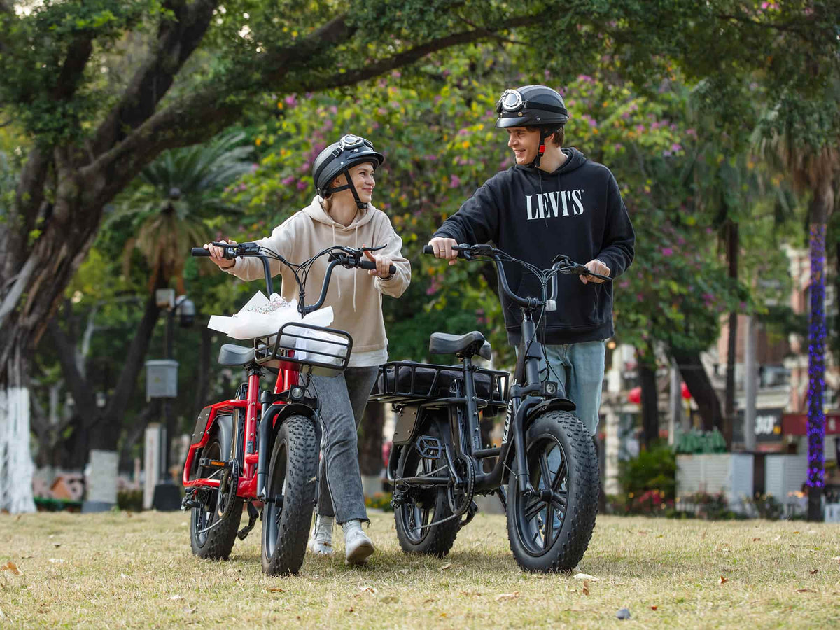 Velowave Prado S compact fat-tire e-bike product view