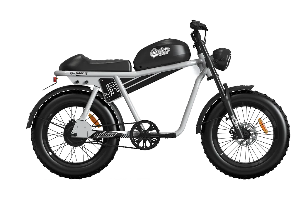 QIOLOR Tiger JR 20-inch fat tire electric bike detail
