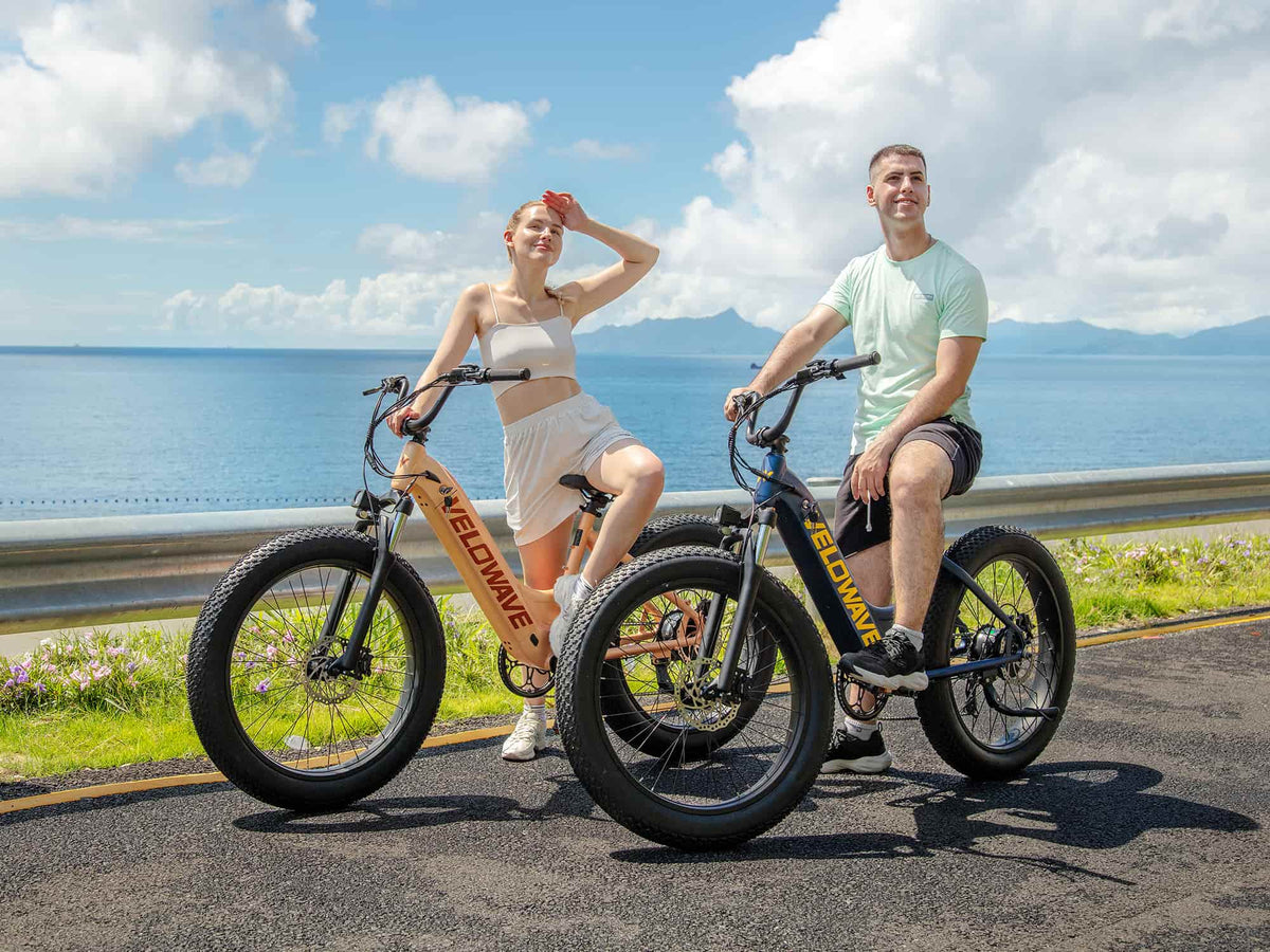 Velowave Rover Step-Thru full-size fat-tire e-bike product view