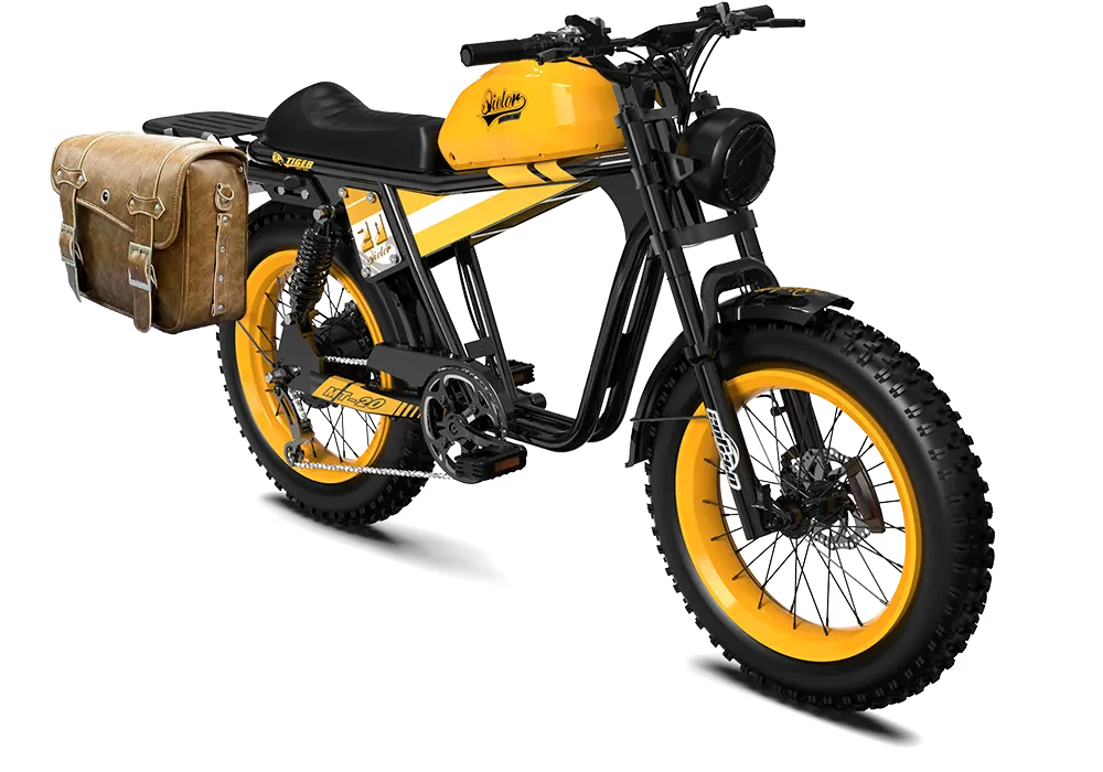 QIOLOR Tiger RE retro electric bike front light detail
