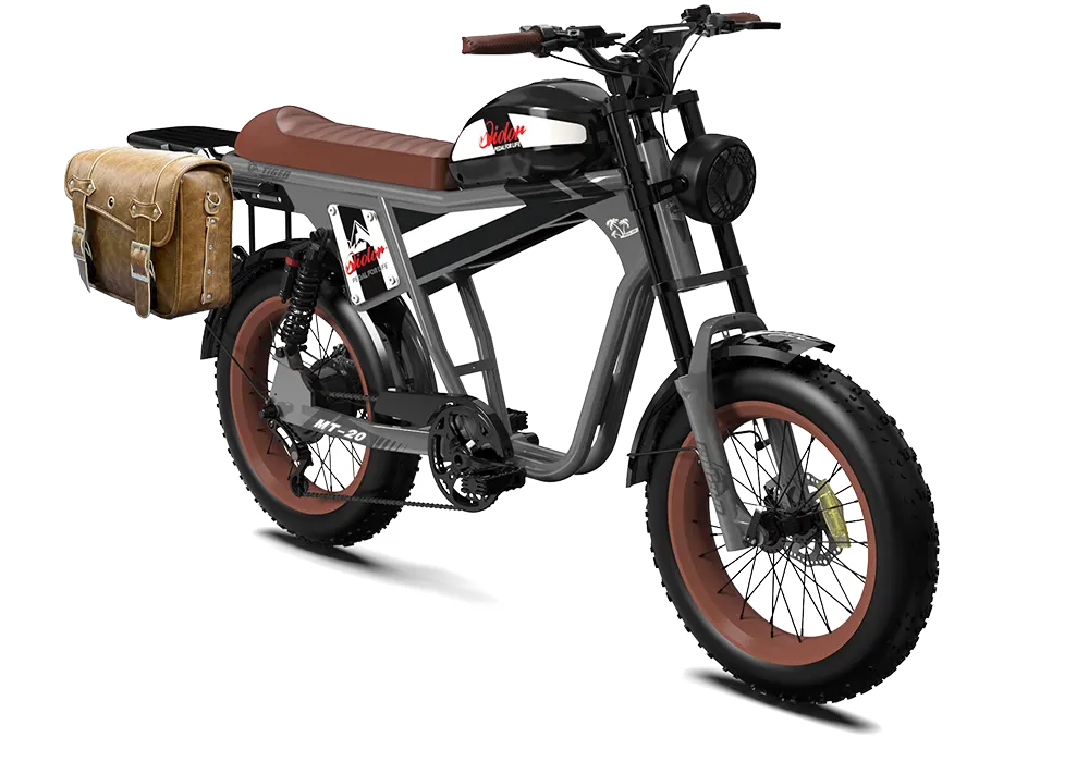 Black QIOLOR Tiger Plus three-quarter view with rear rack and brown pannier bag