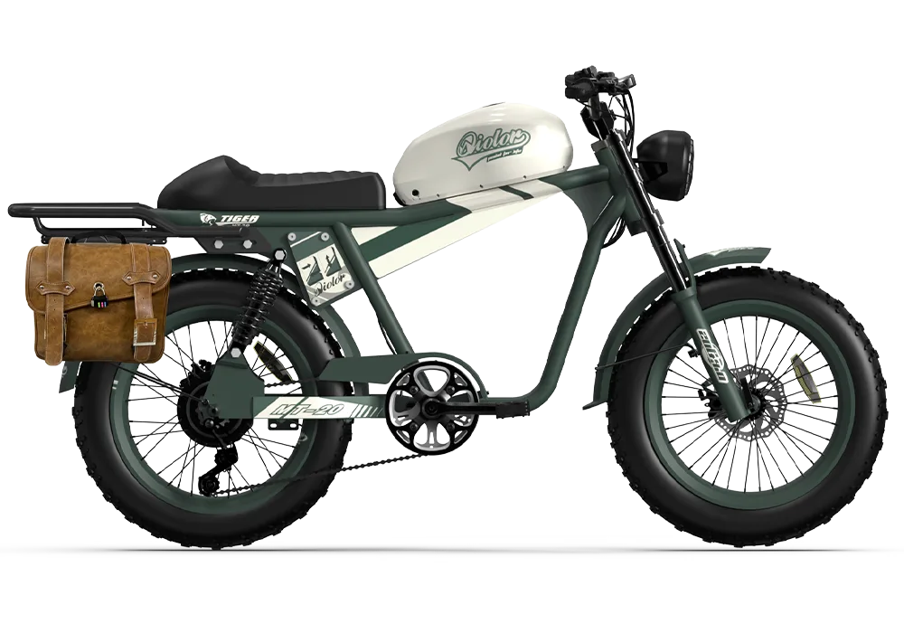 QIOLOR Tiger RE retro electric bike full side profile