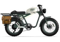 QIOLOR Tiger RE retro electric bike full side profile