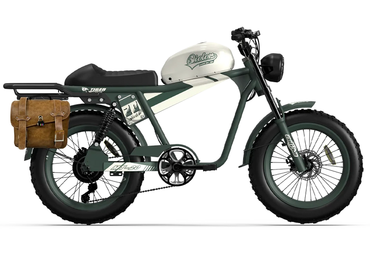 QIOLOR Tiger RE Retro Electric Bike