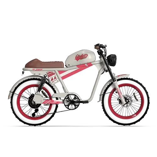 QIOLOR Tiger RE green retro electric bike front view