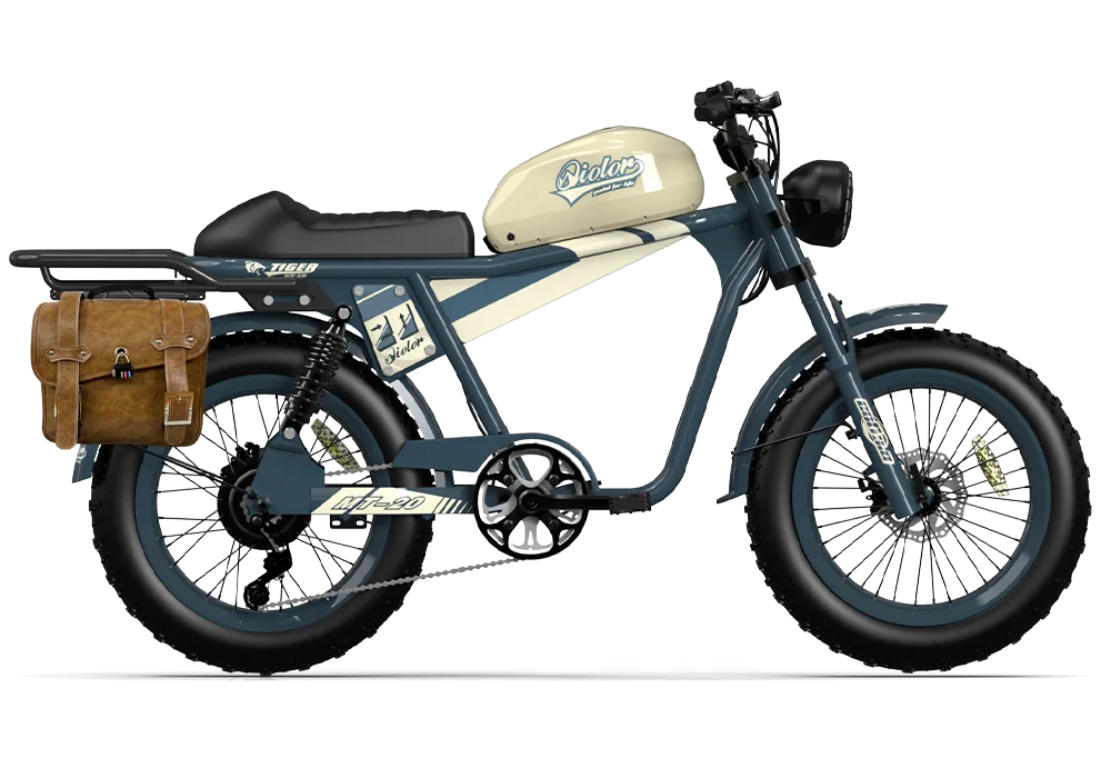 QIOLOR Tiger RE retro electric bike rear rack and pannier setup
