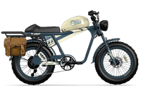 QIOLOR Tiger RE retro electric bike rear rack and pannier setup